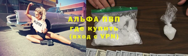 прущие грибы Верея